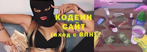 крисы Абаза