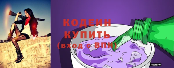 не бодяженный Галич