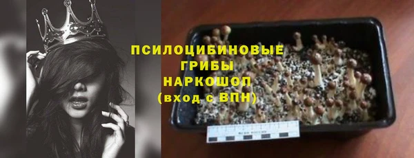 крисы Абаза