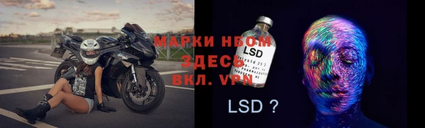 крисы Абаза