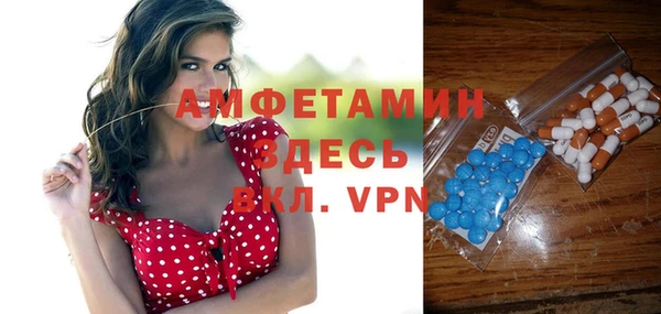 крисы Абаза