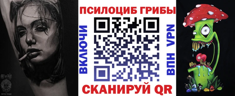 мориарти официальный сайт  Сусуман  Псилоцибиновые грибы Psilocybine cubensis 